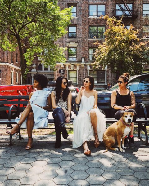 4 women sitting on a bench with a dog