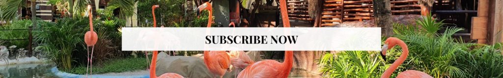 Subscribe to Seasoned Journeys